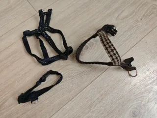 Lote cama, manta, ropa, etc para Mascotas pequeñas