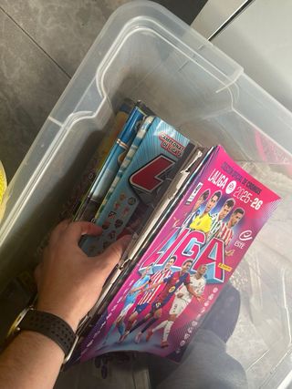 Cromos de fútbol Panini todos los años