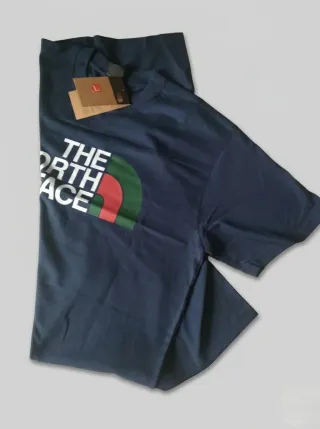 Camiseta The Nort Face Azul y Verde