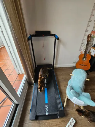 Cinta de Correr iWalk Pro Profesional