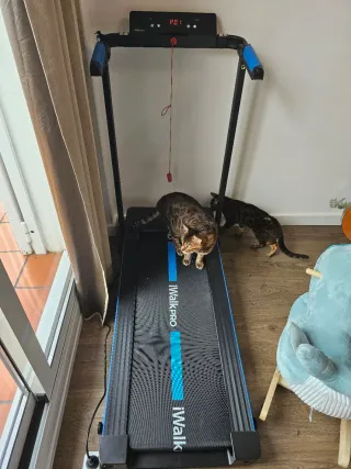 Cinta de Correr iWalk Pro Profesional