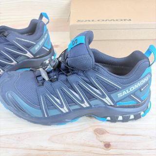 Salomon XA Pro 3D Gore-Tex Zapatillas Trail 44EU