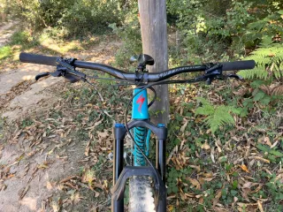 Bicicleta Specialized Stumpjumper 29