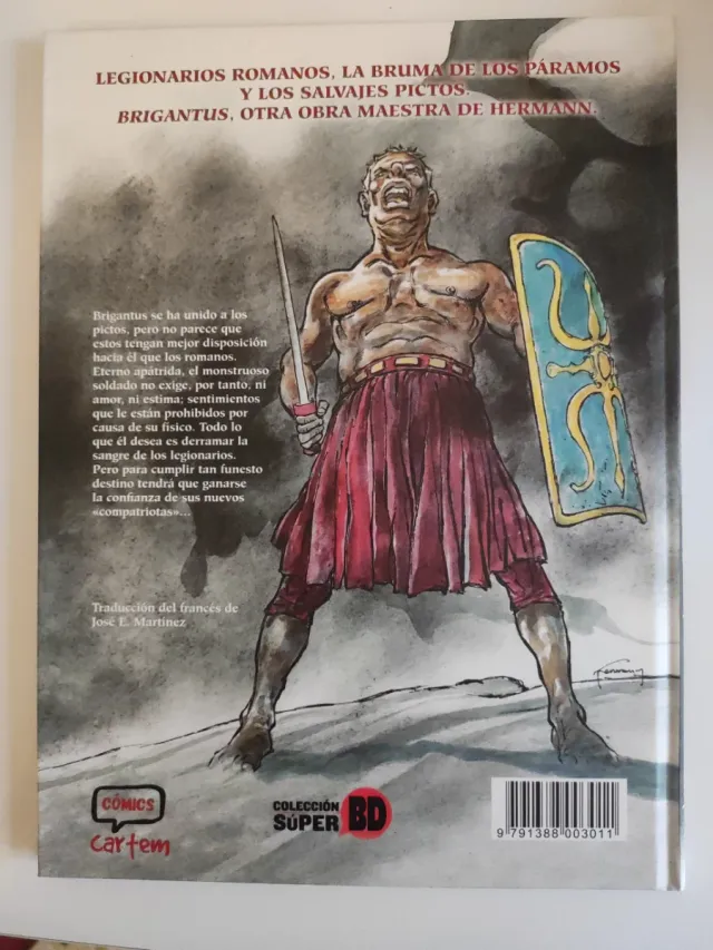 Brigantus. El picto.