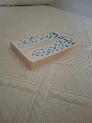 Invisible / Invisible (Spanish Edition)