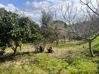 Terreno en Sant Agnes de Malanyanes