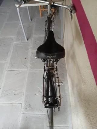Bicicleta de paseo Cervino