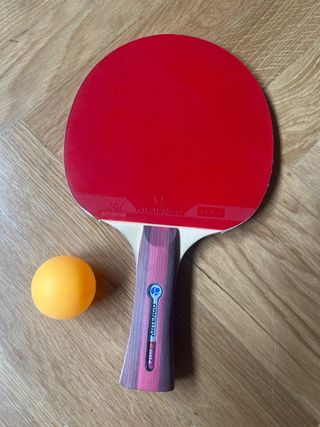 Raqueta Ping Pong + Funda y Pelota