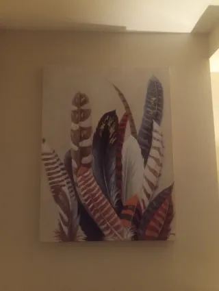 Cuadro de plumas beige y marrón