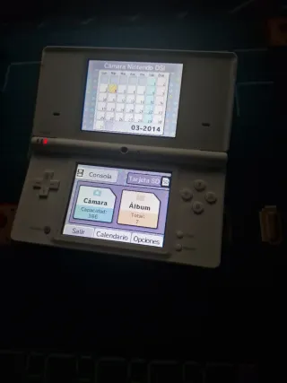 Nintendo DSi + funda + cargador + juego