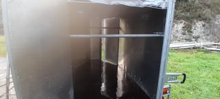 Remolque caballos placa roja 2019