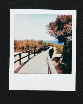 3 cartucce Polaroid i-Type Color 24 Foto