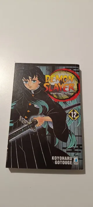 Demon slayer. Kimetsu no yaiba (Vol. 12)