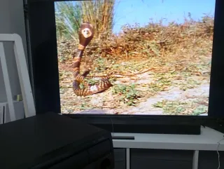 Pioneer CLD-700S CD/LD Player