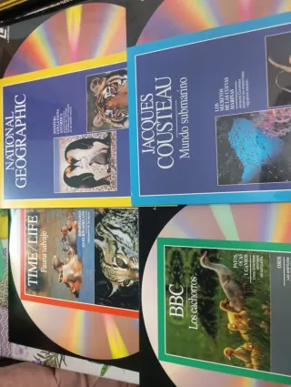 Pioneer CLD-700S CD/LD Player