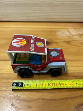 Coche Payva Guarda Forestal