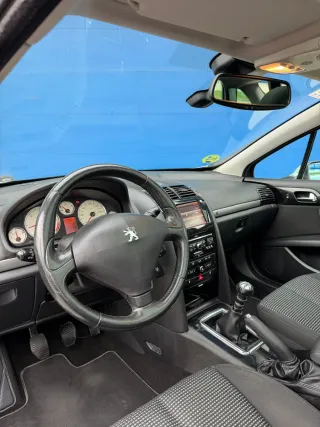 Peugeot 407 2009