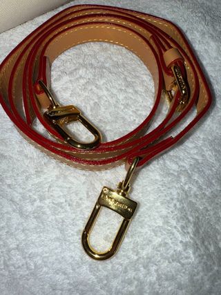 Bolso Louis Vuitton Marrón y Dorado