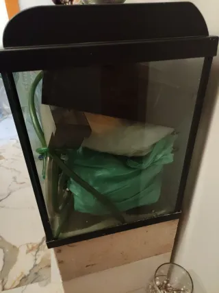 Pecera con accesorios