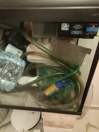 Pecera con accesorios