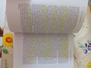 La via verticale dalla dissoluzione dell'umanit...