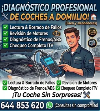 Diagnóstico de Coches con Scanner