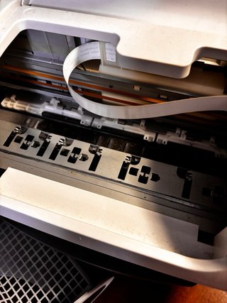 Stampante Epson Stylus C20UX