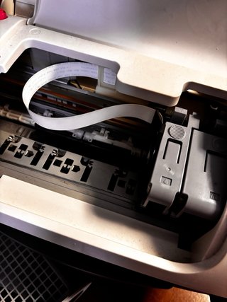 Stampante Epson Stylus C20UX
