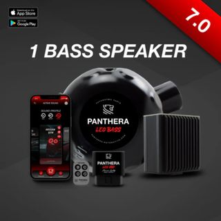 Panthera Leo Active Sound 1 Bass