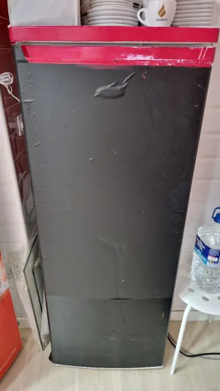 Nevera Frigorífico Grande