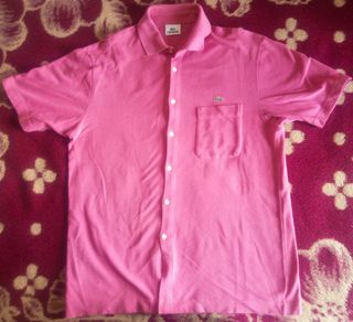 Jersey YVES Saint Laurent Beige y Polo LACOSTE