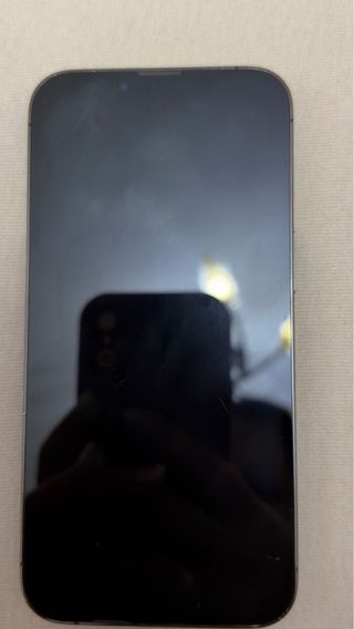 iPhone 13 Pro Gris Plata