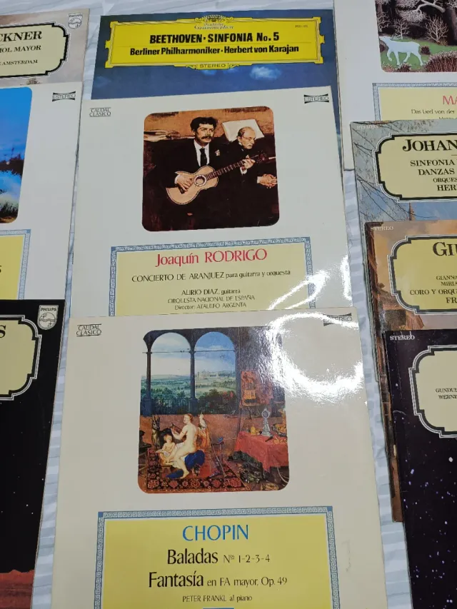 Lote 10 Vinilos LP Música Clásica