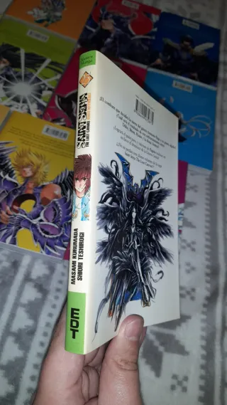 Saint Seiya The lost canvas completa 25 mangas