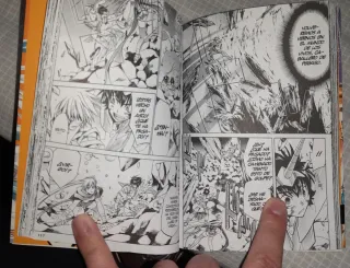 Saint Seiya The lost canvas completa 25 mangas