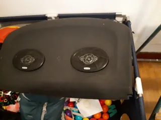 Altavoz JBL Negro y Plateado (subwoofers)