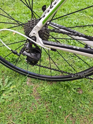 TREK CARBON Bicicleta de carretera