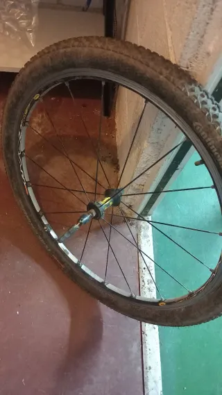Rueda MTB 26 Continental
