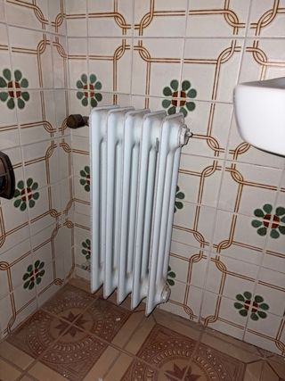 Radiador de hierro fundido: 11 en total.