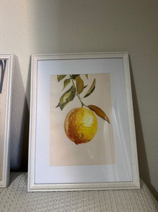 Cuadros Decorativos Frutas Cocina