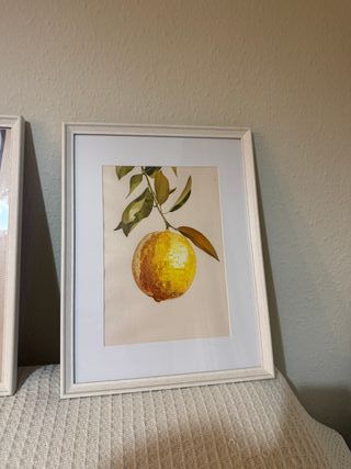 Cuadros Decorativos Frutas Cocina