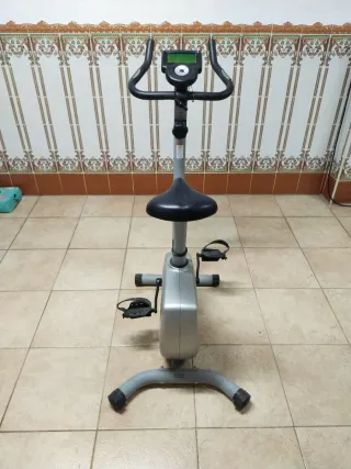Bicicleta Estática gris