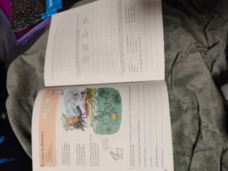 VACACIONES SANTILLANA 5 PRIMARIA 100 EJERCICIO ...