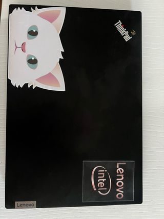 Portátil Lenovo Negro con cargdor