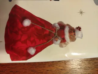 Janine Fennick The Collectible Barbie Doll