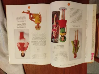 Janine Fennick The Collectible Barbie Doll