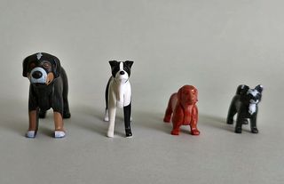 Playmobil Peluquera Canina con Accesorios