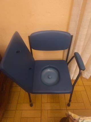 Silla inodoro con tapa azul