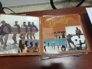 Vinilo LP The Beach Boys Disque d'Or