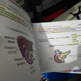 Técnicas de ayuda odontológica y estomatológica.